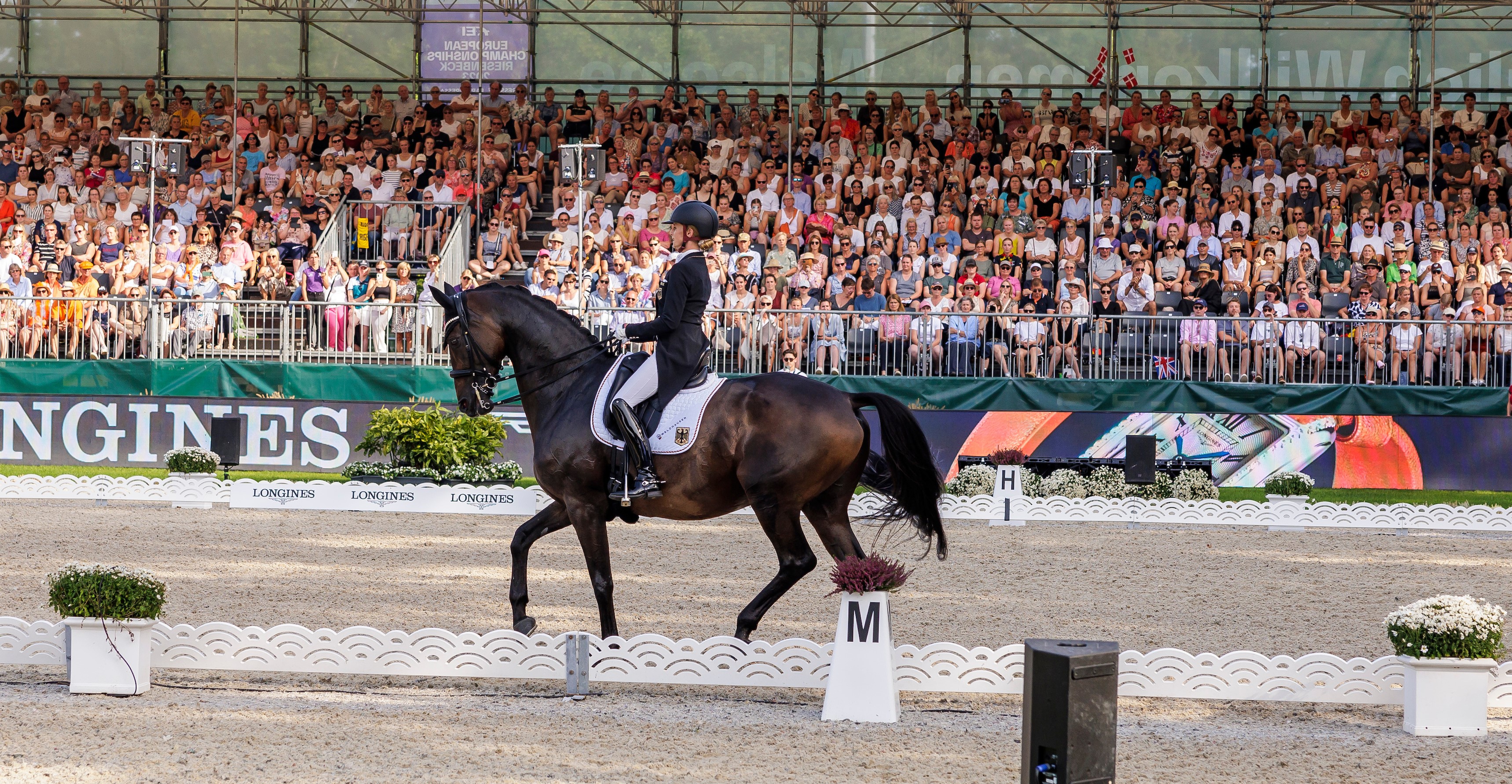 EM Riesenbeck: Zweite Goldmedaille für Dalera und Jessica