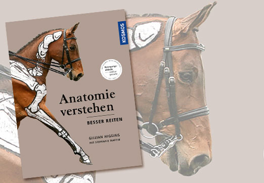 ANATOMIE VERSTEHEN – BESSER REITEN