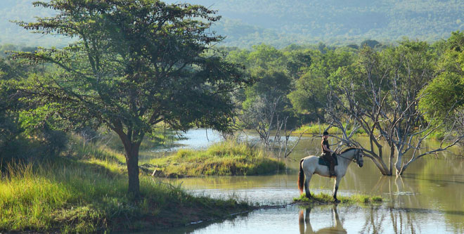 Reitsafari in Südafrika