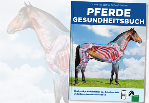 RUND UM DIE PFERDEGESUNDHEIT