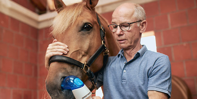 Gesundheit: Hilfe bei Equinem Asthma