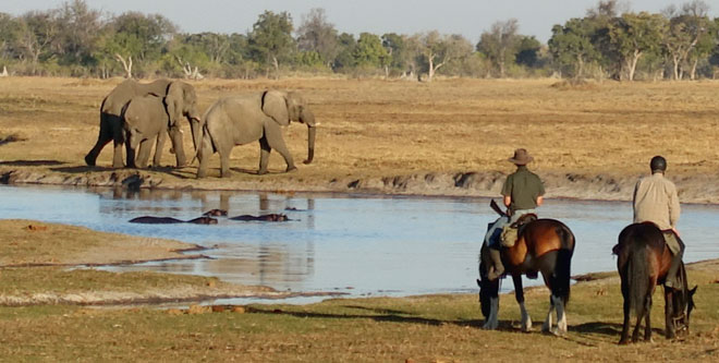 Botswana: Atemberaubende Ritte zu den „Wilden“