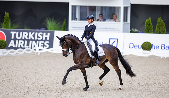 PferdePromi: Drombusch OLD – übermotiviertes Energiebündel