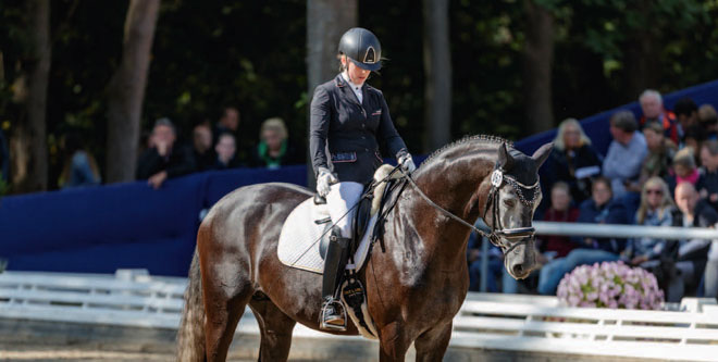 Ausbildung: Exaktes Reiten gefragt