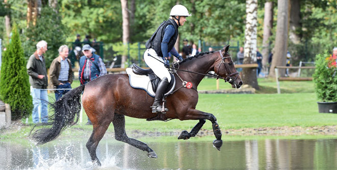 Bundeschampionate in Warendorf