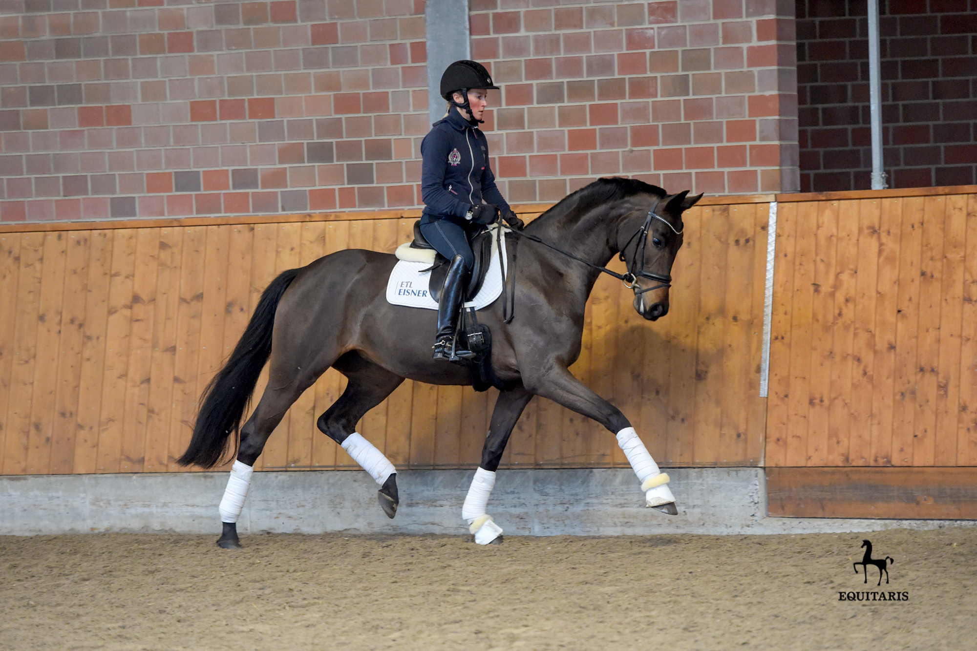 Bundeschampionesse Candy OLD unter Helen Langehanenberg