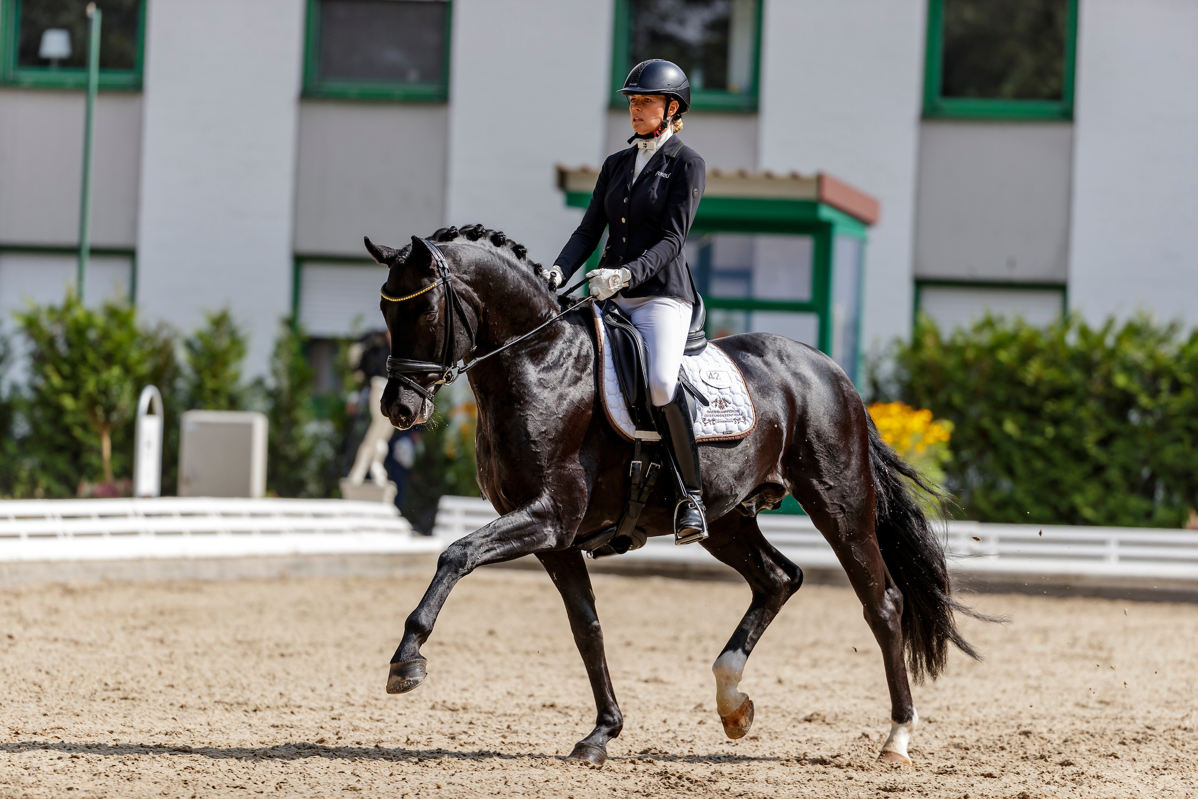 Stella Charlott Roth verstärkt Bonhomme-Team