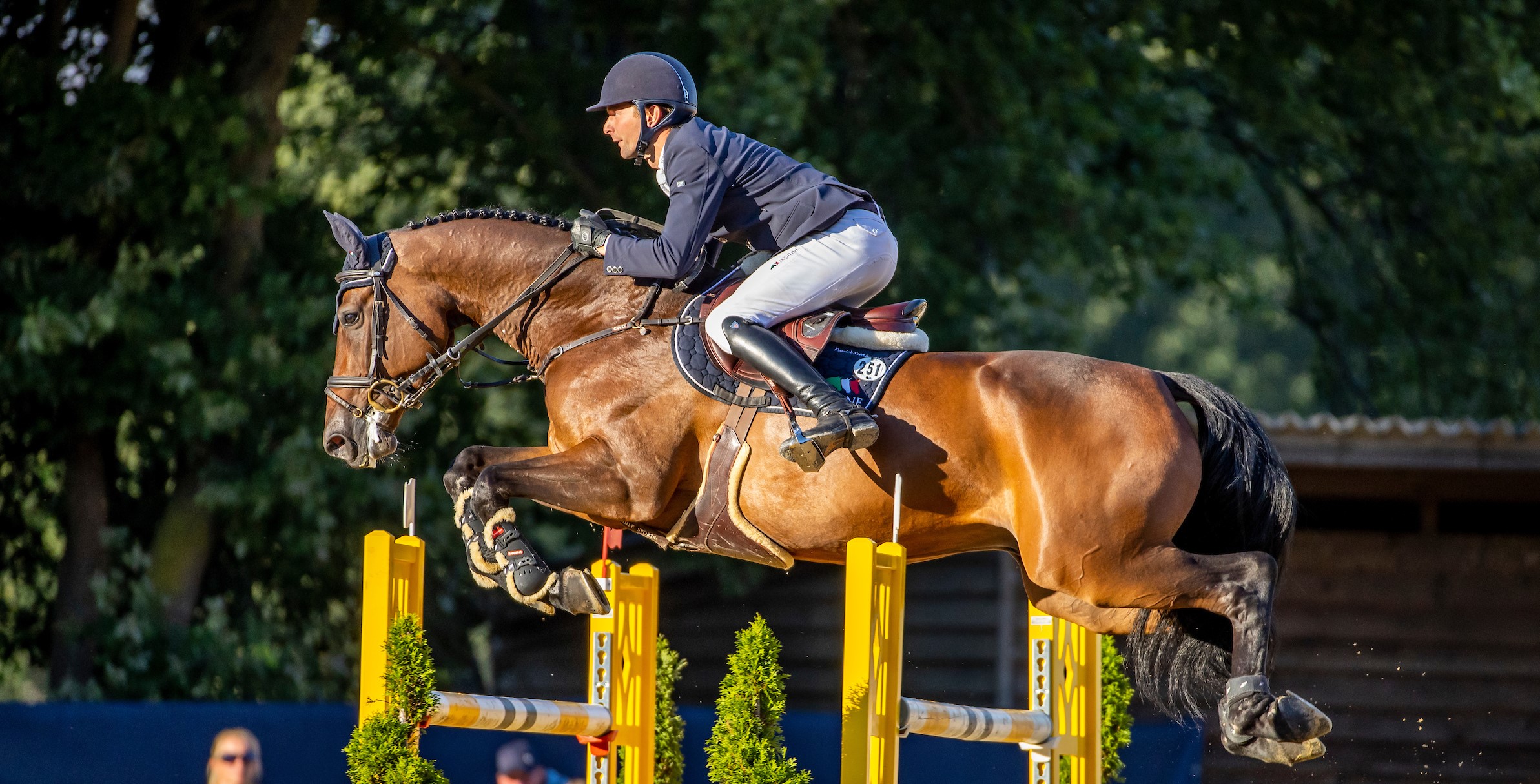 Warendorf: Melaro erster Bundeschampion der Siebenjährigen