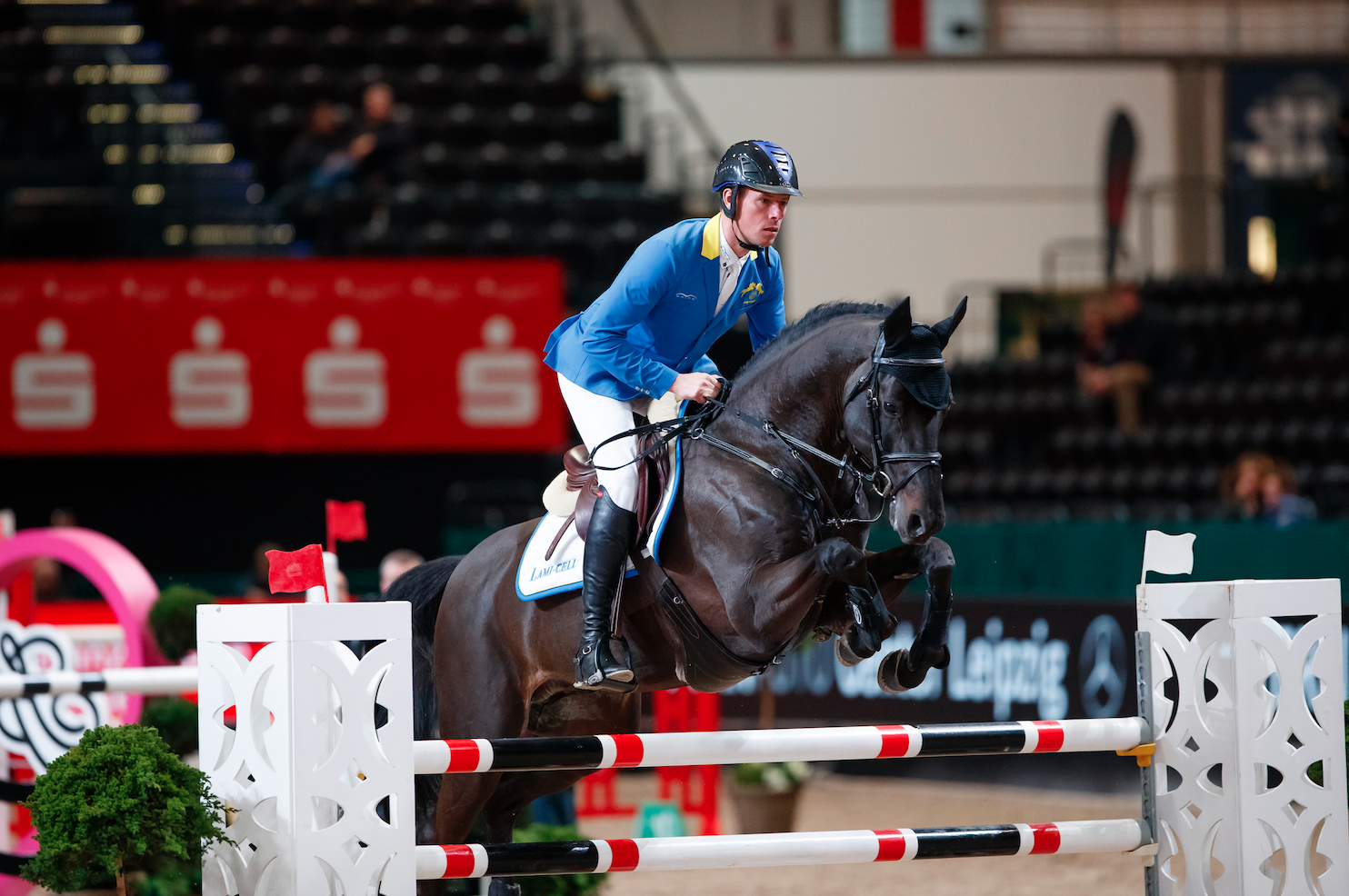 Oldenburger Solid Gold ist Weltmeister der siebenjährigen Springpferde