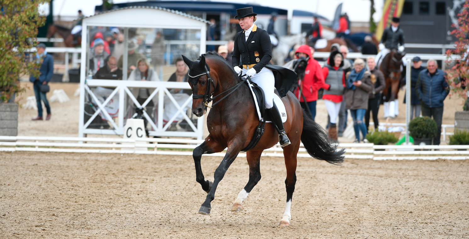 Mannheim: Isabell Werth dominiert Dressur beim Maimarktturnier